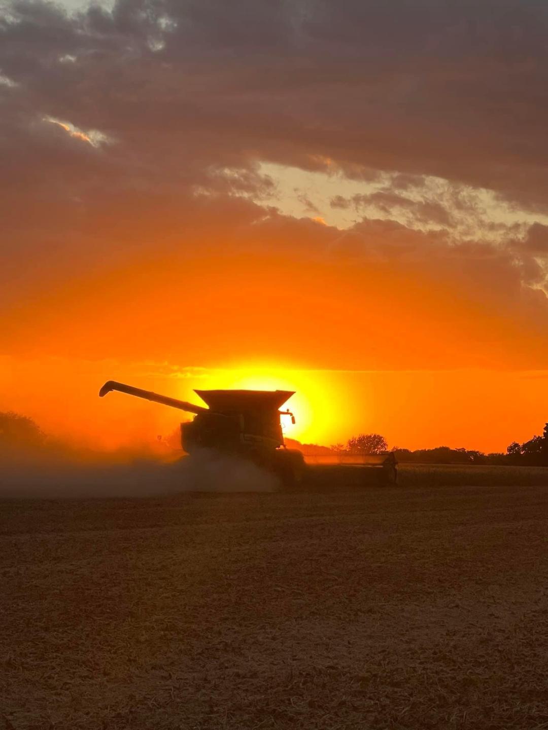 HARVEST SUNSET